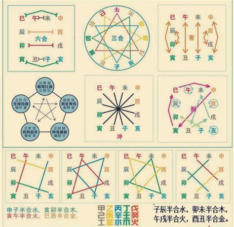 地支合冲|干支知识：地支的刑、冲、合、害、破与天干的冲、合关系